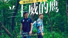 逃离幽灵之林